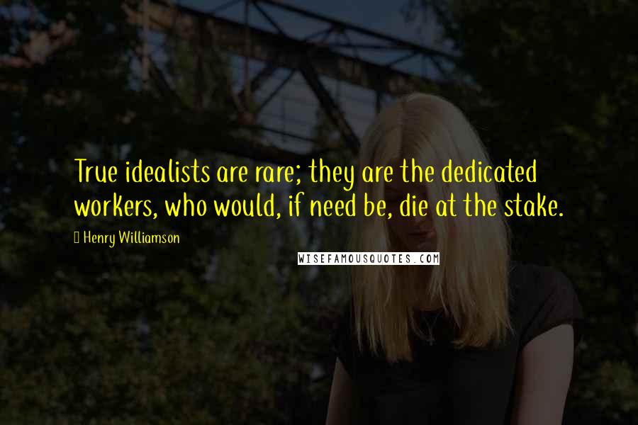 Henry Williamson Quotes: True idealists are rare; they are the dedicated workers, who would, if need be, die at the stake.