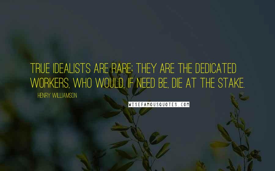 Henry Williamson Quotes: True idealists are rare; they are the dedicated workers, who would, if need be, die at the stake.