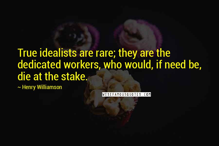 Henry Williamson Quotes: True idealists are rare; they are the dedicated workers, who would, if need be, die at the stake.