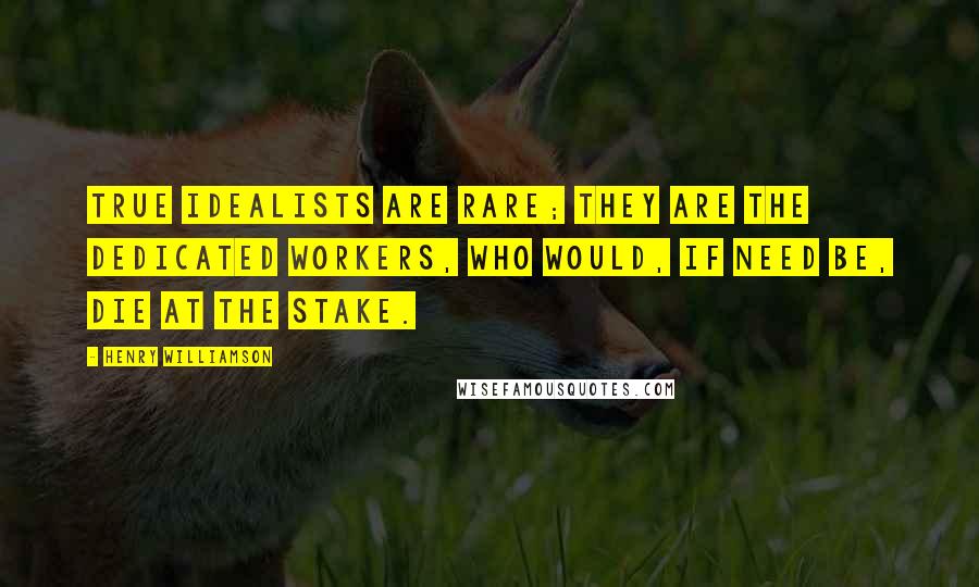 Henry Williamson Quotes: True idealists are rare; they are the dedicated workers, who would, if need be, die at the stake.