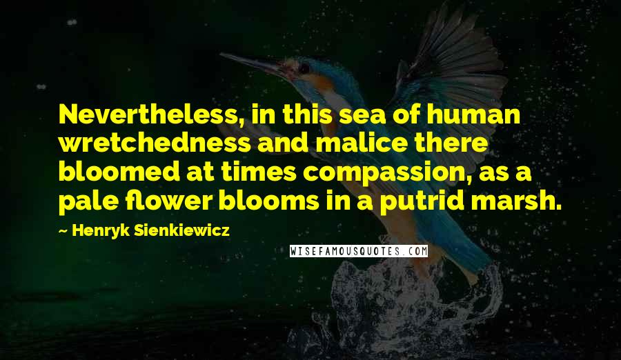 Henryk Sienkiewicz Quotes: Nevertheless, in this sea of human wretchedness and malice there bloomed at times compassion, as a pale flower blooms in a putrid marsh.