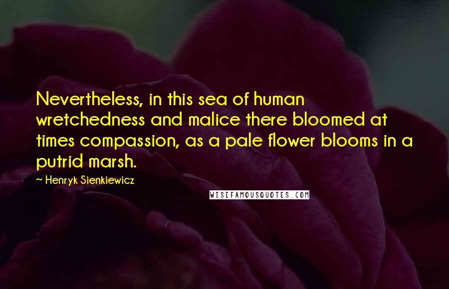 Henryk Sienkiewicz Quotes: Nevertheless, in this sea of human wretchedness and malice there bloomed at times compassion, as a pale flower blooms in a putrid marsh.