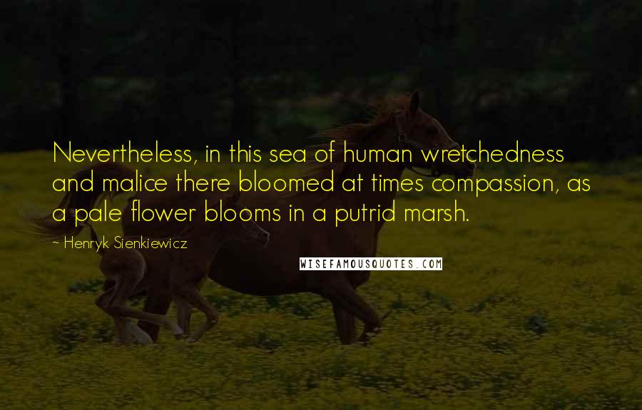 Henryk Sienkiewicz Quotes: Nevertheless, in this sea of human wretchedness and malice there bloomed at times compassion, as a pale flower blooms in a putrid marsh.
