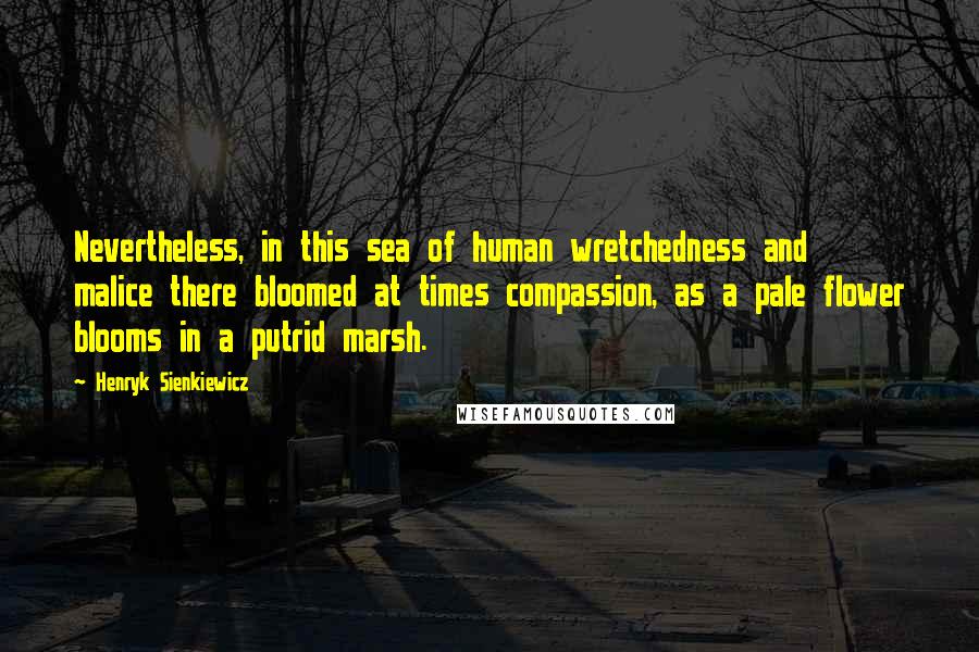 Henryk Sienkiewicz Quotes: Nevertheless, in this sea of human wretchedness and malice there bloomed at times compassion, as a pale flower blooms in a putrid marsh.