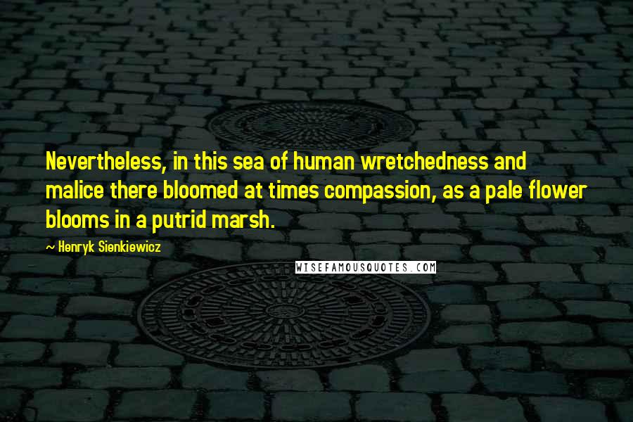 Henryk Sienkiewicz Quotes: Nevertheless, in this sea of human wretchedness and malice there bloomed at times compassion, as a pale flower blooms in a putrid marsh.