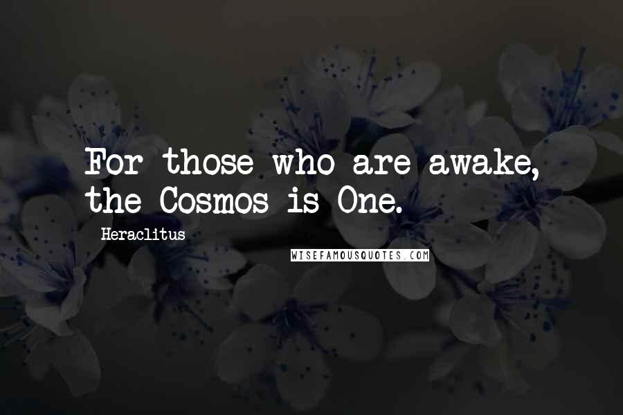 Heraclitus Quotes: For those who are awake, the Cosmos is One.