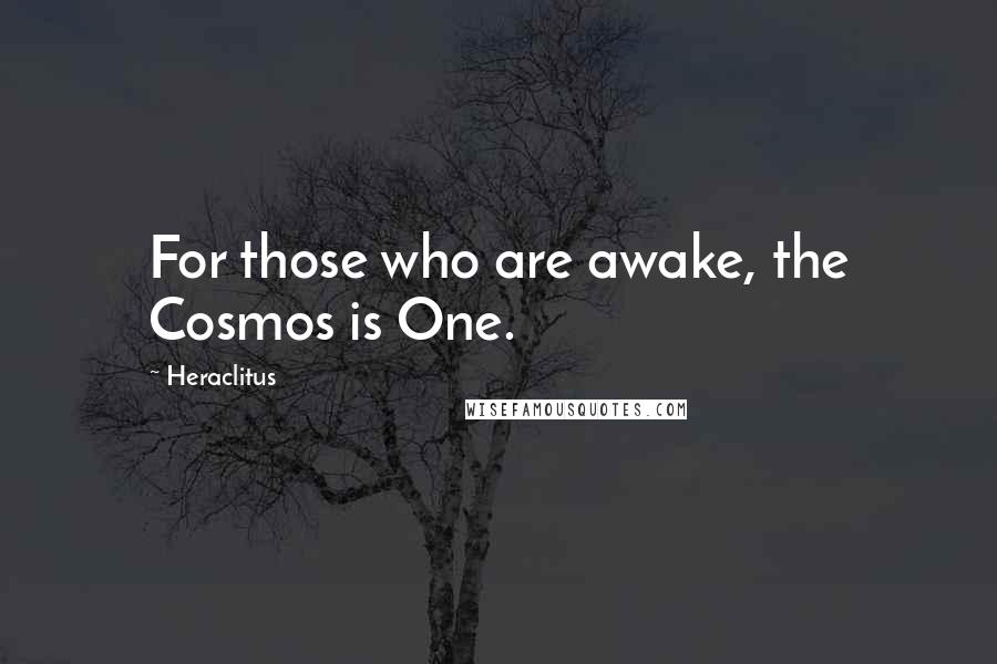 Heraclitus Quotes: For those who are awake, the Cosmos is One.