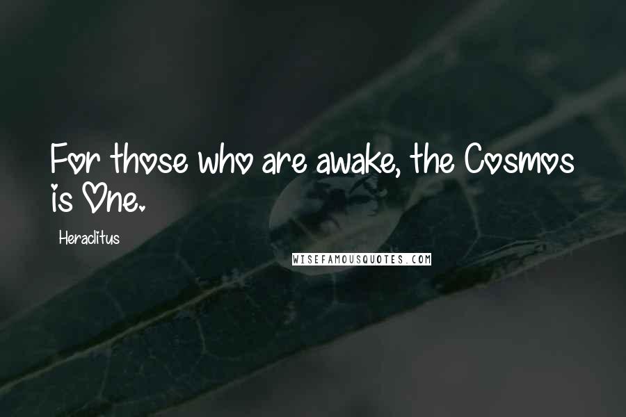 Heraclitus Quotes: For those who are awake, the Cosmos is One.