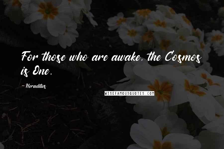 Heraclitus Quotes: For those who are awake, the Cosmos is One.