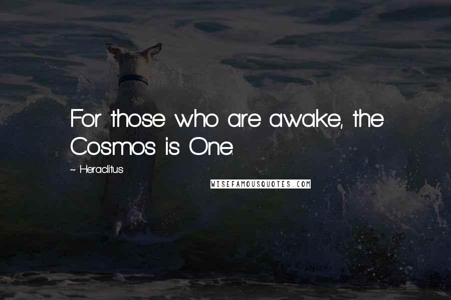 Heraclitus Quotes: For those who are awake, the Cosmos is One.