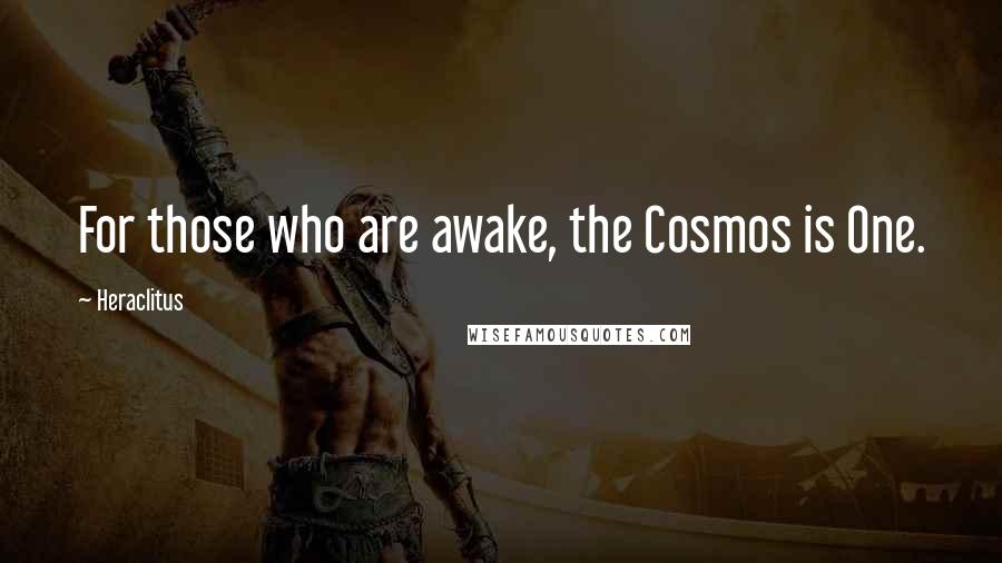 Heraclitus Quotes: For those who are awake, the Cosmos is One.