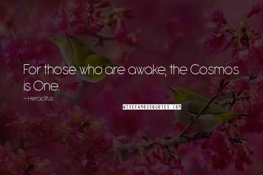 Heraclitus Quotes: For those who are awake, the Cosmos is One.