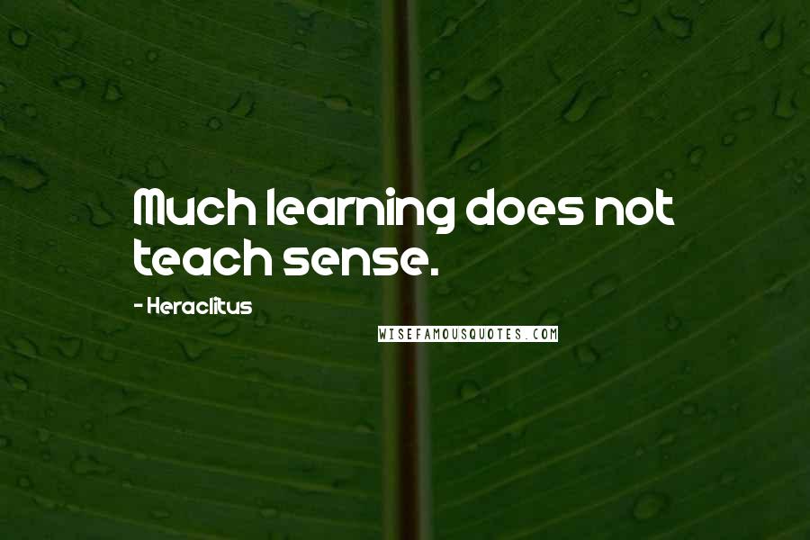 Heraclitus Quotes: Much learning does not teach sense.