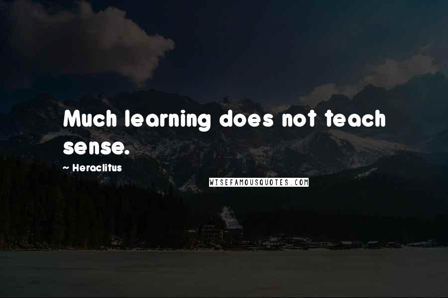 Heraclitus Quotes: Much learning does not teach sense.