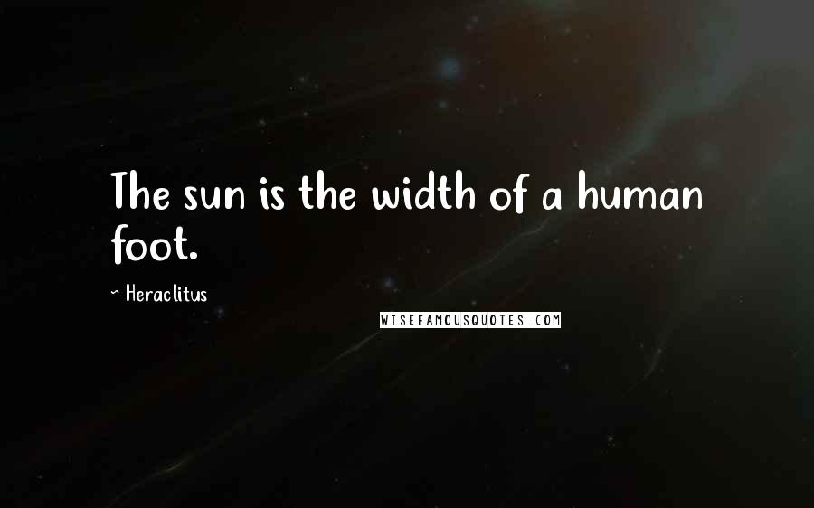 Heraclitus Quotes: The sun is the width of a human foot.