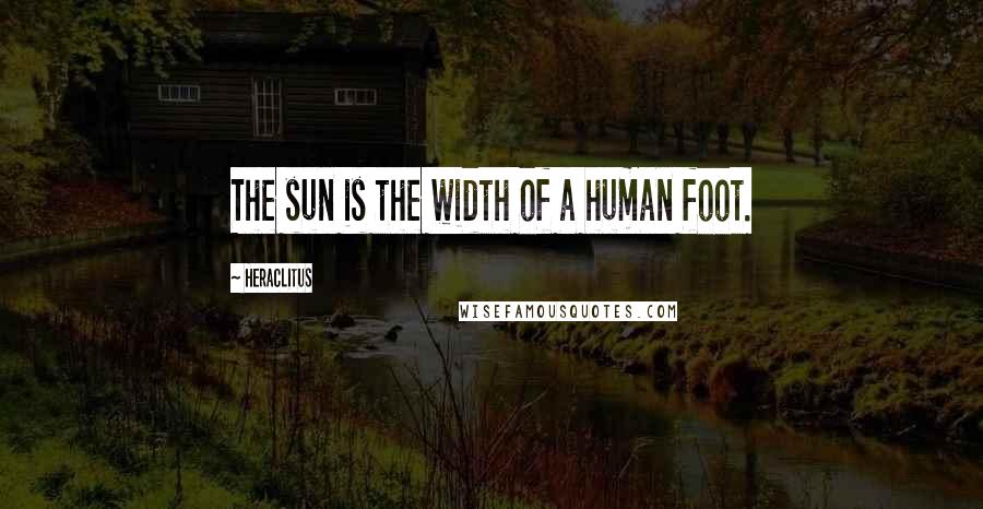 Heraclitus Quotes: The sun is the width of a human foot.