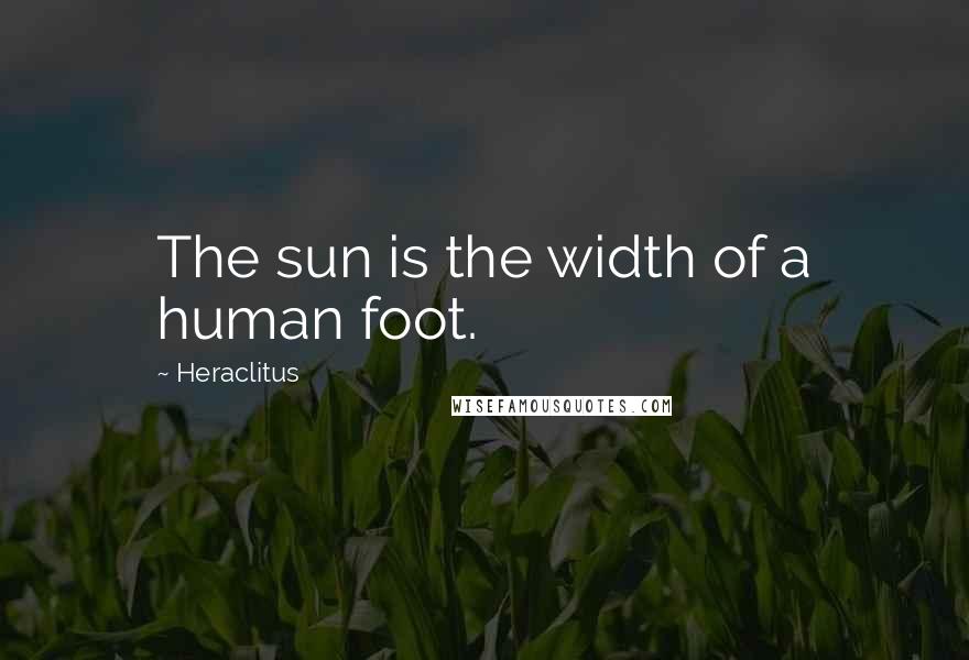 Heraclitus Quotes: The sun is the width of a human foot.