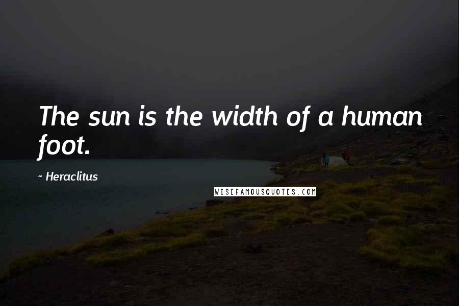Heraclitus Quotes: The sun is the width of a human foot.