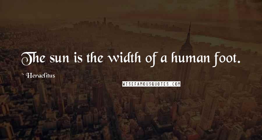 Heraclitus Quotes: The sun is the width of a human foot.