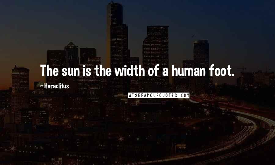 Heraclitus Quotes: The sun is the width of a human foot.