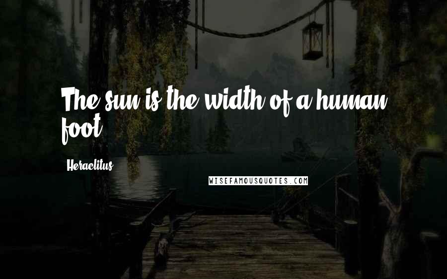 Heraclitus Quotes: The sun is the width of a human foot.