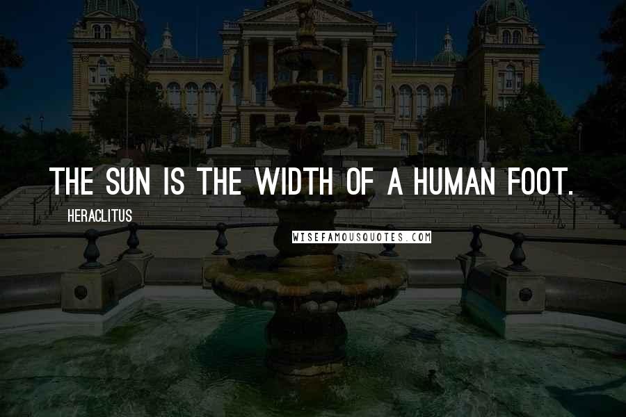 Heraclitus Quotes: The sun is the width of a human foot.