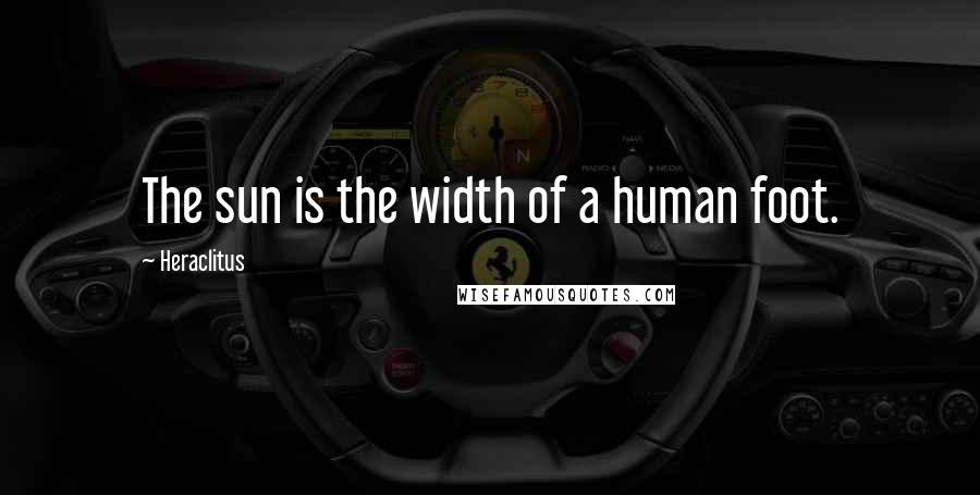 Heraclitus Quotes: The sun is the width of a human foot.