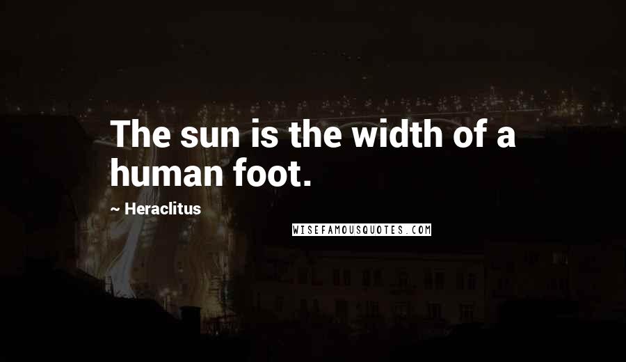 Heraclitus Quotes: The sun is the width of a human foot.