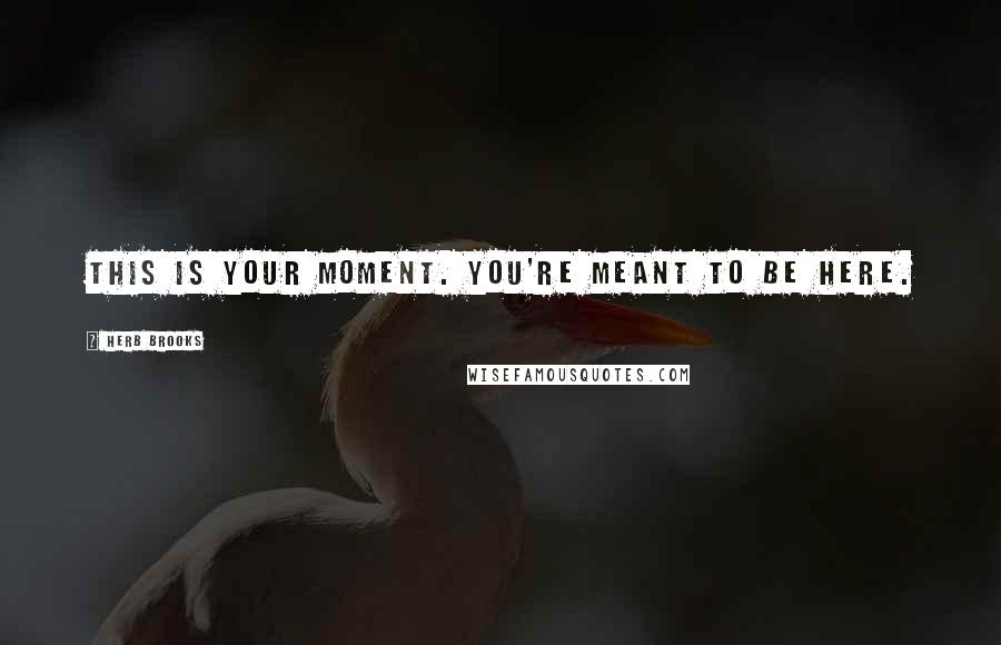 Herb Brooks Quotes: This is your moment. You're meant to be here.