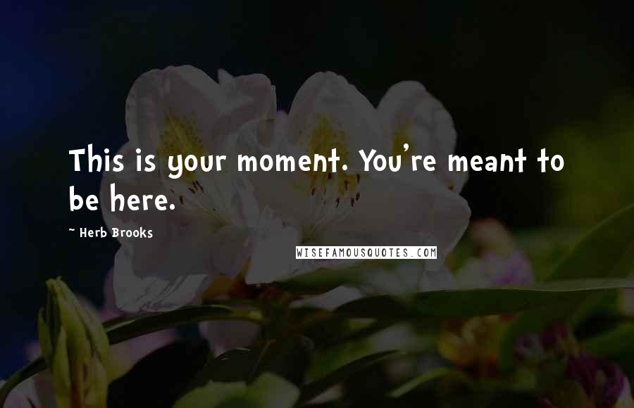 Herb Brooks Quotes: This is your moment. You're meant to be here.