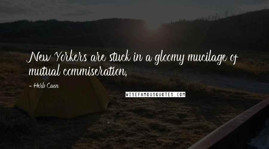 Herb Caen Quotes: New Yorkers are stuck in a gloomy mucilage of mutual commiseration.