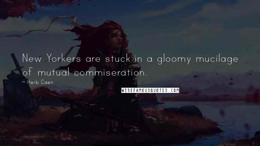 Herb Caen Quotes: New Yorkers are stuck in a gloomy mucilage of mutual commiseration.
