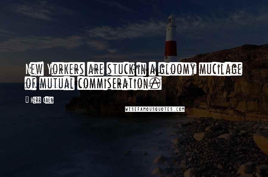 Herb Caen Quotes: New Yorkers are stuck in a gloomy mucilage of mutual commiseration.