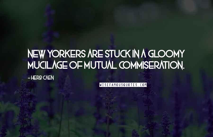 Herb Caen Quotes: New Yorkers are stuck in a gloomy mucilage of mutual commiseration.
