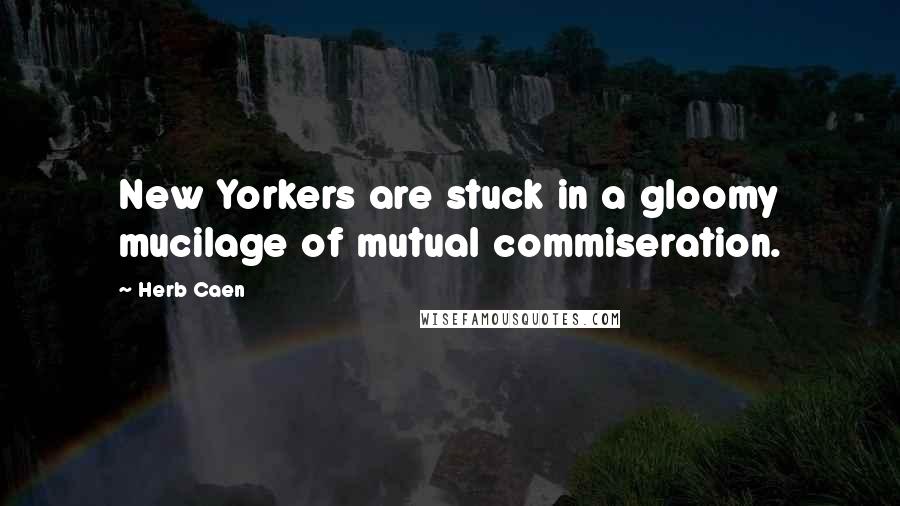 Herb Caen Quotes: New Yorkers are stuck in a gloomy mucilage of mutual commiseration.