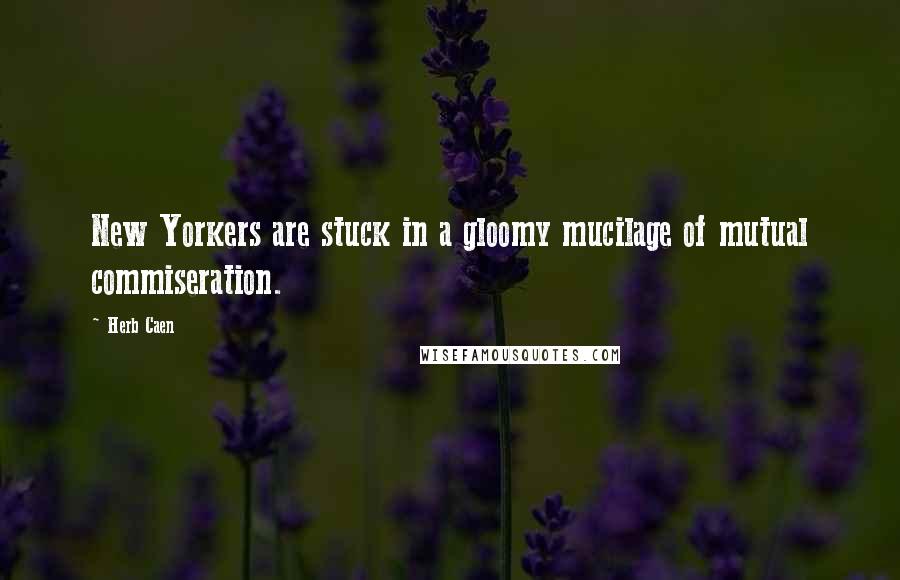 Herb Caen Quotes: New Yorkers are stuck in a gloomy mucilage of mutual commiseration.