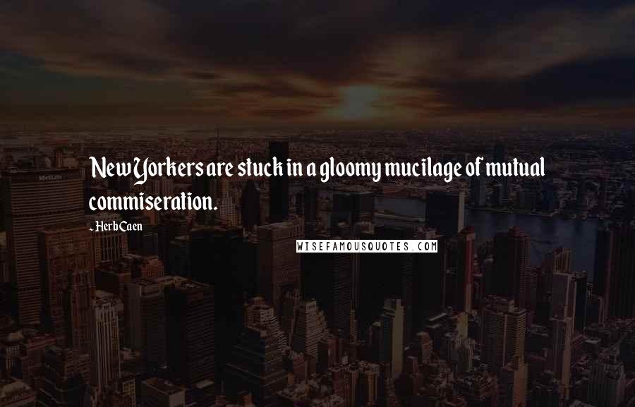 Herb Caen Quotes: New Yorkers are stuck in a gloomy mucilage of mutual commiseration.