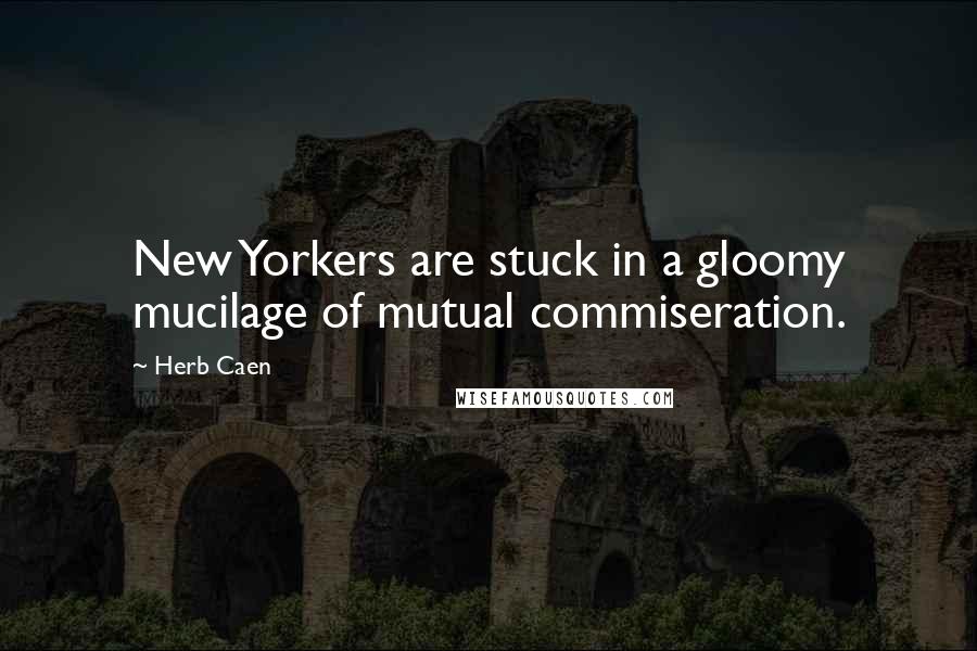 Herb Caen Quotes: New Yorkers are stuck in a gloomy mucilage of mutual commiseration.