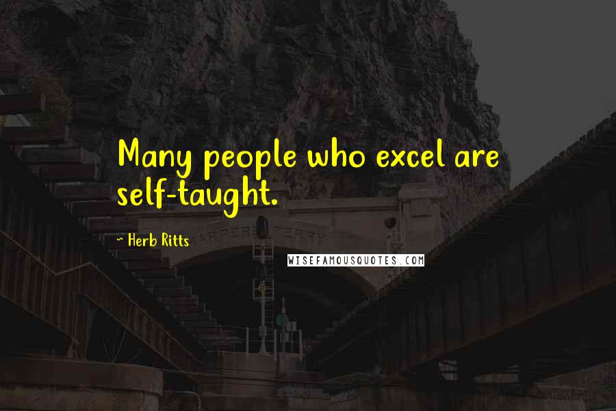 Herb Ritts Quotes: Many people who excel are self-taught.