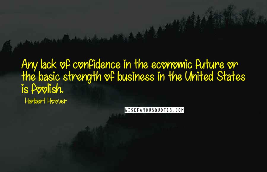 Herbert Hoover Quotes: Any lack of confidence in the economic future or the basic strength of business in the United States is foolish.