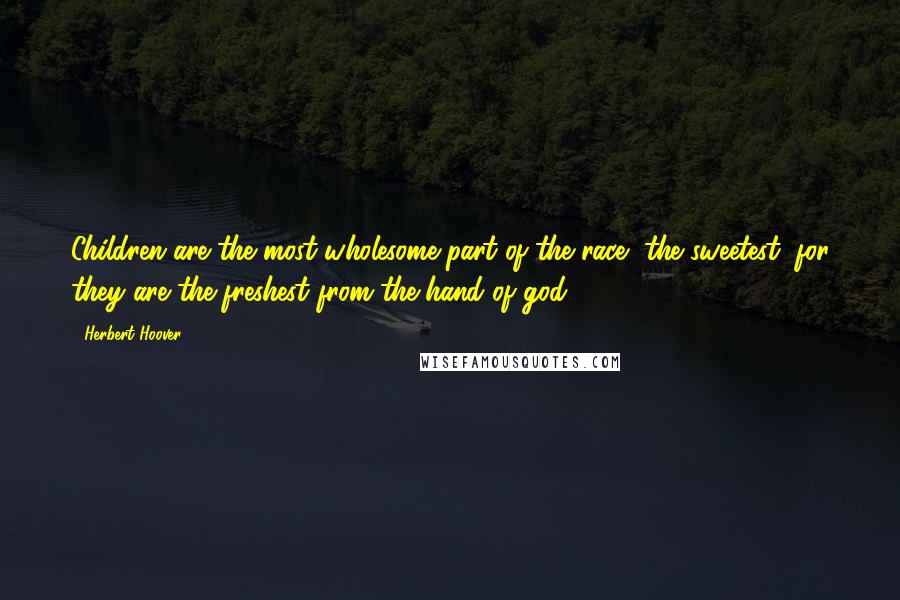 Herbert Hoover Quotes: Children are the most wholesome part of the race, the sweetest, for they are the freshest from the hand of god.