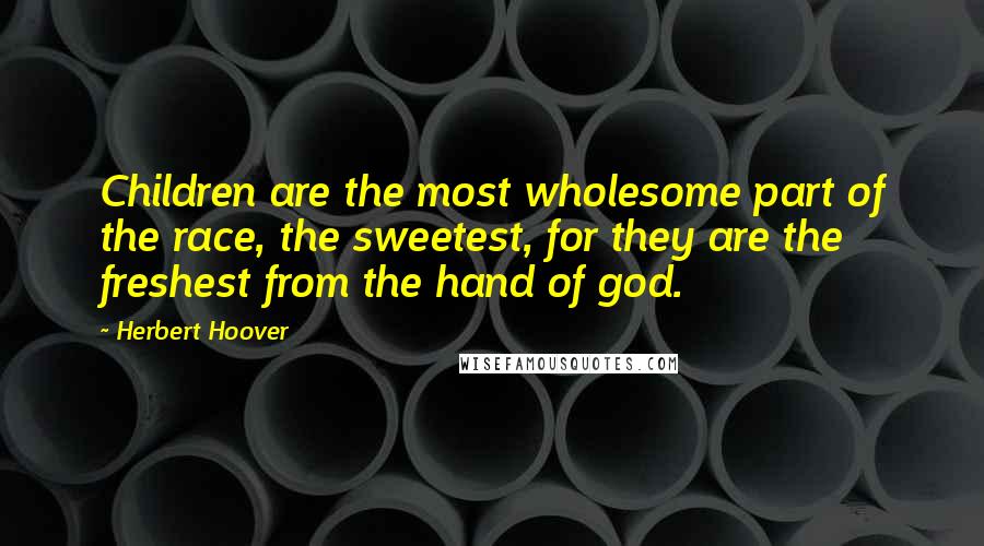 Herbert Hoover Quotes: Children are the most wholesome part of the race, the sweetest, for they are the freshest from the hand of god.