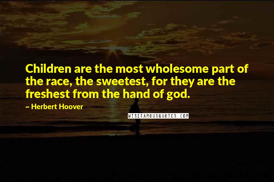 Herbert Hoover Quotes: Children are the most wholesome part of the race, the sweetest, for they are the freshest from the hand of god.