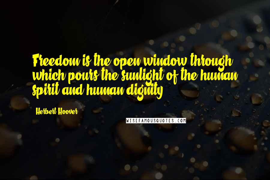 Herbert Hoover Quotes: Freedom is the open window through which pours the sunlight of the human spirit and human dignity.