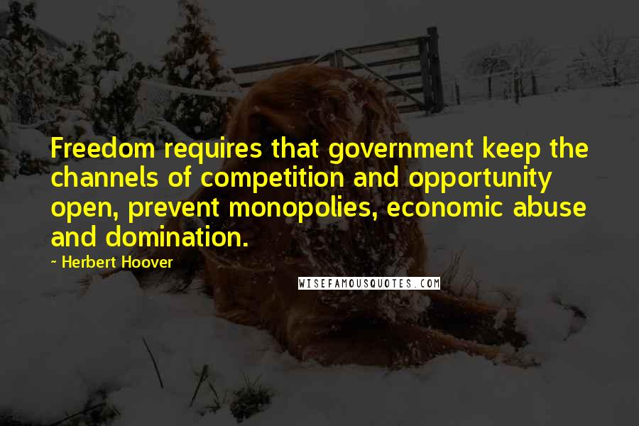 Herbert Hoover Quotes: Freedom requires that government keep the channels of competition and opportunity open, prevent monopolies, economic abuse and domination.