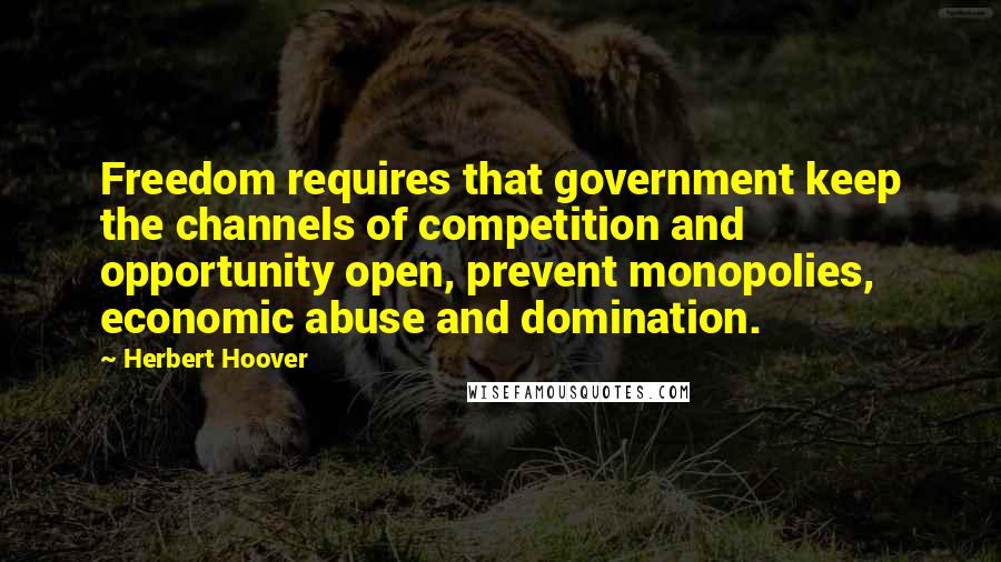 Herbert Hoover Quotes: Freedom requires that government keep the channels of competition and opportunity open, prevent monopolies, economic abuse and domination.