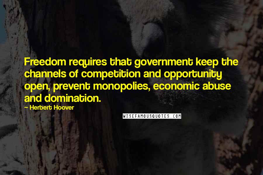 Herbert Hoover Quotes: Freedom requires that government keep the channels of competition and opportunity open, prevent monopolies, economic abuse and domination.