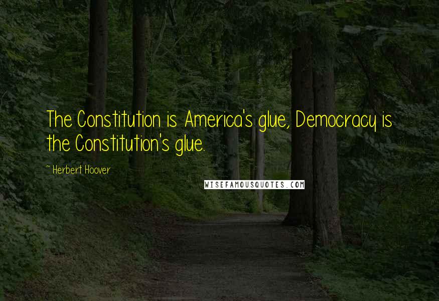 Herbert Hoover Quotes: The Constitution is America's glue, Democracy is the Constitution's glue.