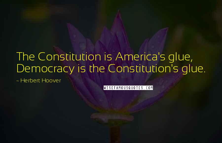 Herbert Hoover Quotes: The Constitution is America's glue, Democracy is the Constitution's glue.