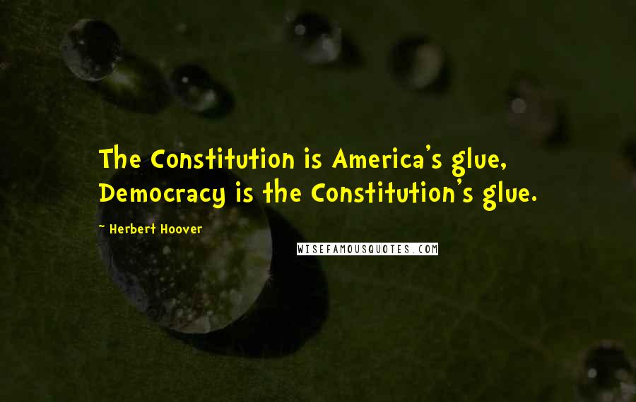 Herbert Hoover Quotes: The Constitution is America's glue, Democracy is the Constitution's glue.